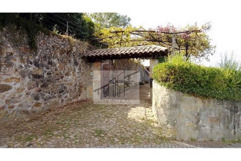 Farm i Roriz, Porto, Roriz - € 449.000 | Ref: MAS_16 - foto 3