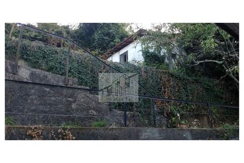 Farm i Roriz, Porto, Roriz - € 449.000 | Ref: MAS_16 - foto 11