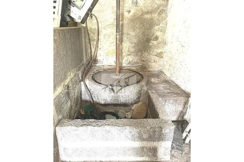 Farm i Roriz, Porto, Roriz - € 449.000 | Ref: MAS_16 - foto 23