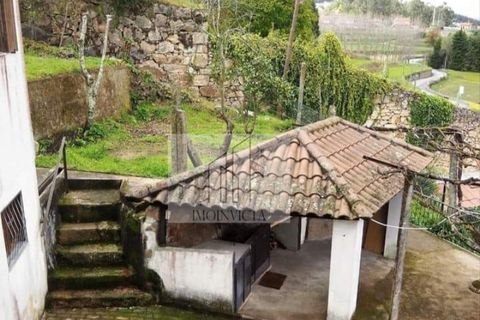 Farm i Roriz, Porto, Roriz - € 449.000 | Ref: MAS_16 - foto 24