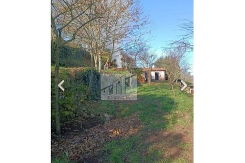 Farm i Roriz, Porto, Roriz - € 449.000 | Ref: MAS_16 - foto 35