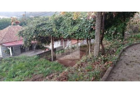 Farm i Roriz, Porto, Roriz - € 449.000 | Ref: MAS_16 - foto 37