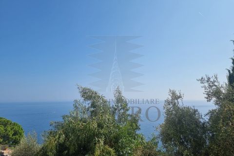 Lejlighed i Ventimiglia, Imperia, Ventimiglia - € 245.000 | Ref: 22413 - foto 24
