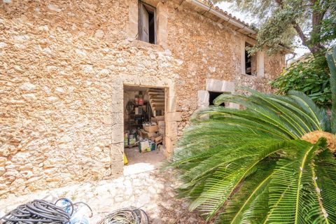 Villa a Alaro, Mallorca, Alaro - € 1.980.000 | Ref: MMP1010JM/3010 - foto 34