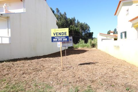Helårsgrund i Cortegaca, Aveiro, Cortegaca - € 66.250 | Ref: 170-Ez - foto 2