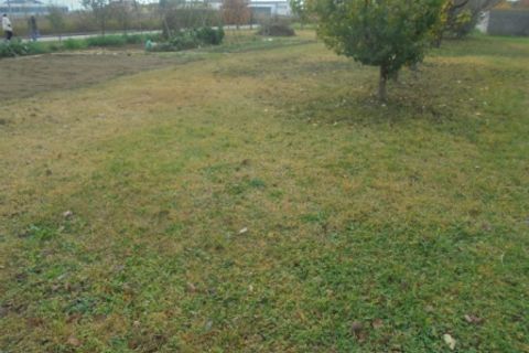 Helårsgrund i Stienta, Rovigo, Stienta - € 45.000 | Ref: SI0702 - foto 1