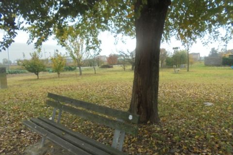 Helårsgrund i Stienta, Rovigo, Stienta - € 45.000 | Ref: SI0702 - foto 2