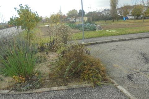 Helårsgrund i Stienta, Rovigo, Stienta - € 45.000 | Ref: SI0702 - foto 7