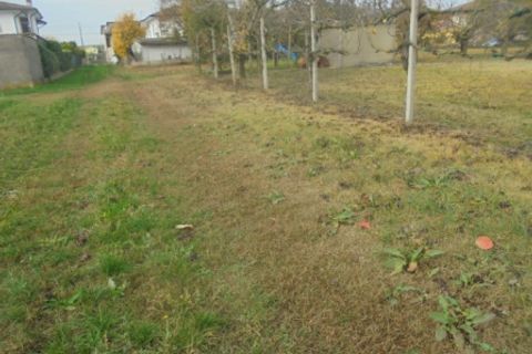 Helårsgrund i Stienta, Rovigo, Stienta - € 45.000 | Ref: SI0702 - foto 13