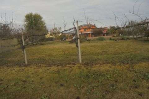 Helårsgrund i Stienta, Rovigo, Stienta - € 45.000 | Ref: SI0702 - foto 14