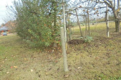 Helårsgrund i Stienta, Rovigo, Stienta - € 45.000 | Ref: SI0702 - foto 17