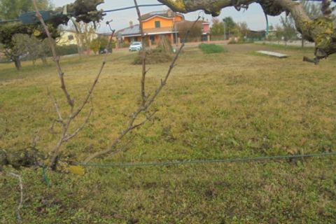 Helårsgrund i Stienta, Rovigo, Stienta - € 45.000 | Ref: SI0702 - foto 18