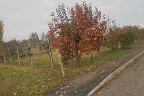 Helårsgrund i Stienta, Rovigo, Stienta - € 45.000 | Ref: SI0702 - foto 19