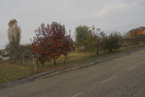 Helårsgrund i Stienta, Rovigo, Stienta - € 45.000 | Ref: SI0702 - foto 23