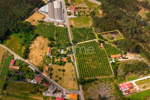 Helårsgrund i Agueda, Aveiro, Agueda - € 20.700 | Ref: ZMPT559455 - foto 1