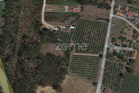 Helårsgrund i Agueda, Aveiro, Agueda - € 20.700 | Ref: ZMPT559455 - foto 2