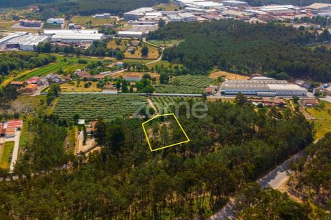 Helårsgrund i Agueda, Aveiro, Agueda - € 20.700 | Ref: ZMPT559455 - foto 4