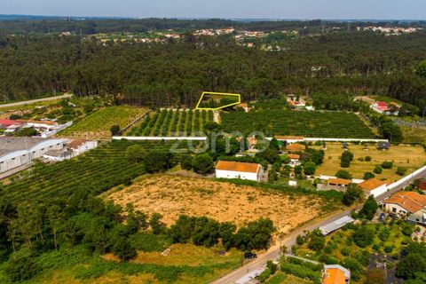 Helårsgrund i Agueda, Aveiro, Agueda - € 20.700 | Ref: ZMPT559455 - foto 6