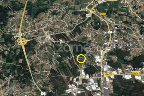 Helårsgrund i Agueda, Aveiro, Agueda - € 20.700 | Ref: ZMPT559455 - foto 13