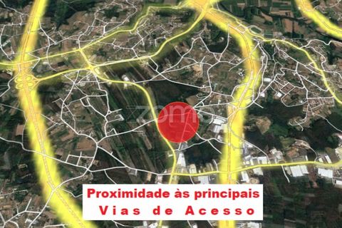 Helårsgrund i Agueda, Aveiro, Agueda - € 20.700 | Ref: ZMPT559455 - foto 16