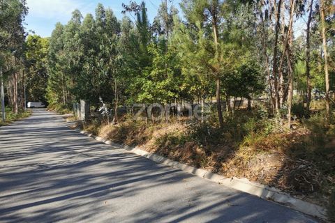 Helårsgrund i Agueda, Aveiro, Agueda - € 59.500 | Ref: ZMPT559456 - foto 1
