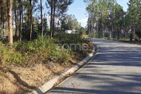 Helårsgrund i Agueda, Aveiro, Agueda - € 59.500 | Ref: ZMPT559456 - foto 4