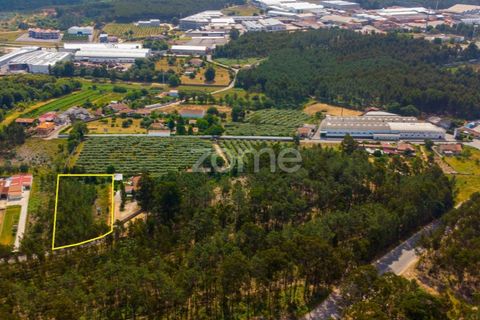 Helårsgrund i Agueda, Aveiro, Agueda - € 59.500 | Ref: ZMPT559456 - foto 7
