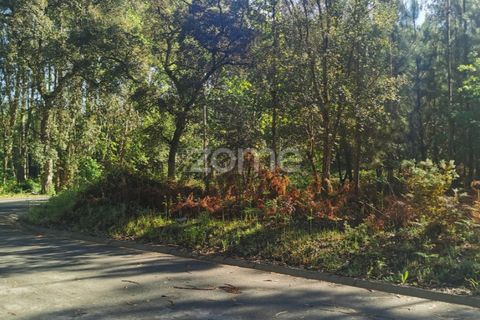 Helårsgrund i Agueda, Aveiro, Agueda - € 62.500 | Ref: ZMPT559454 - foto 1