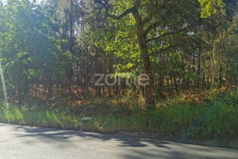 Helårsgrund i Agueda, Aveiro, Agueda - € 62.500 | Ref: ZMPT559454 - foto 3