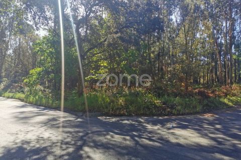 Helårsgrund i Agueda, Aveiro, Agueda - € 62.500 | Ref: ZMPT559454 - foto 4