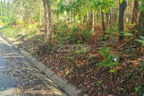 Helårsgrund i Agueda, Aveiro, Agueda - € 62.500 | Ref: ZMPT559454 - foto 5