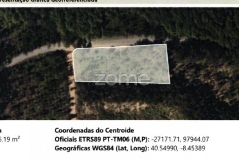 Helårsgrund i Agueda, Aveiro, Agueda - € 62.500 | Ref: ZMPT559454 - foto 13
