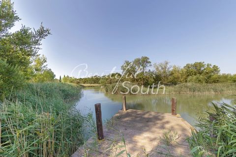Villa a Narbonne, Aude, Narbonne - € 2.600.000 | Ref: CP311 - foto 21