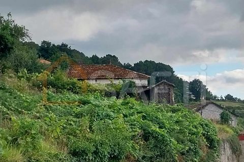 Landejendom i Moncao, Viana do Castelo, Moncao - € 75.000 | Ref: SAFTI:003730 - foto 3