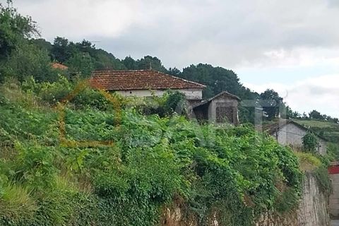 Landejendom i Moncao, Viana do Castelo, Moncao - € 75.000 | Ref: SAFTI:003730 - foto 12