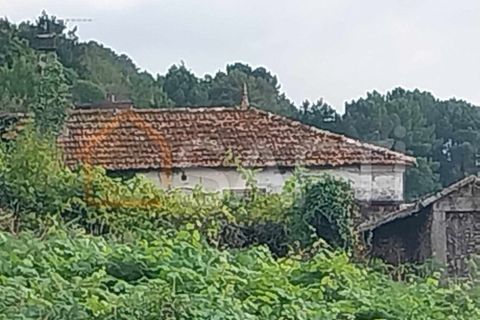 Landejendom i Moncao, Viana do Castelo, Moncao - € 75.000 | Ref: SAFTI:003730 - foto 13