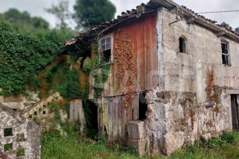 Landejendom i Moncao, Viana do Castelo, Moncao - € 75.000 | Ref: SAFTI:003730 - foto 16