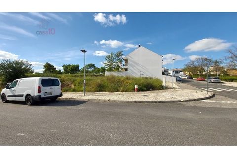 Terra a Almodovar, Beja, Almodovar - € 114.540 | Ref: SÒL_1378 - foto 6
