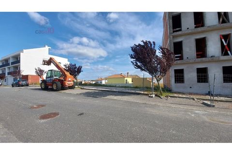 Terra a Almodovar, Beja, Almodovar - € 114.540 | Ref: SÒL_1379 - foto 5