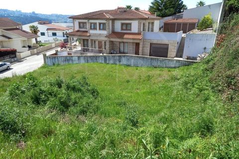 Terra a Airaes, Porto, Airaes - € 51.000 | Ref: Q575 - foto 2