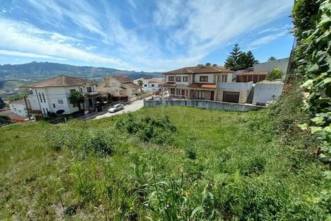Terra a Airaes, Porto, Airaes - € 51.000 | Ref: Q575 - foto 3