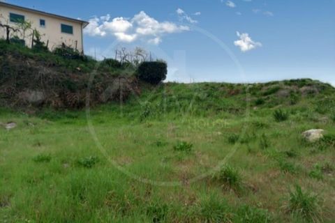 Terra a Airaes, Porto, Airaes - € 51.000 | Ref: Q575 - foto 4