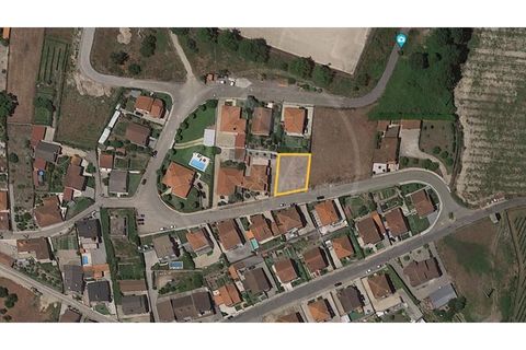 Terra a Airaes, Porto, Airaes - € 51.000 | Ref: Q575 - foto 5