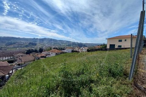 Terra a Airaes, Porto, Airaes - € 61.000 | Ref: Q588 - foto 4