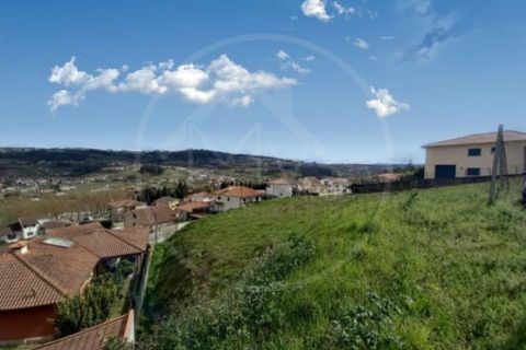 Terra a Airaes, Porto, Airaes - € 61.000 | Ref: Q588 - foto 5