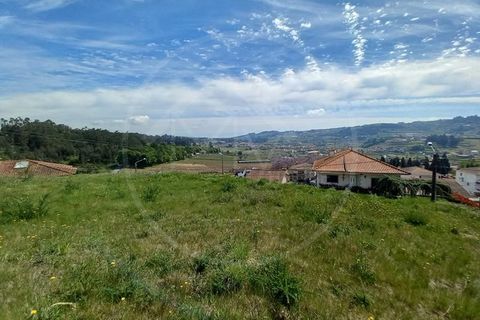Terra a Airaes, Porto, Airaes - € 61.000 | Ref: Q588 - foto 6