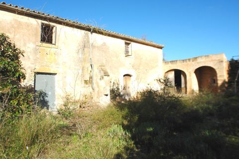 Terra a Campos, Mallorca, Campos - € 682.000 | Ref: CR0007 - foto 6