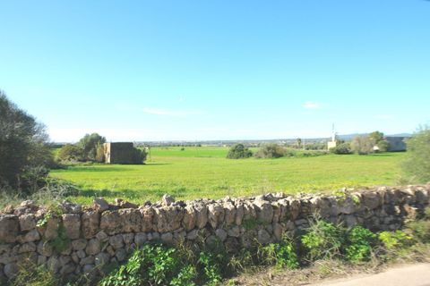 Terra a Campos, Mallorca, Campos - € 682.000 | Ref: CR0007 - foto 7
