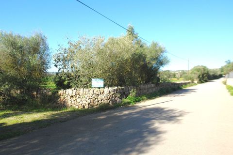 Terra a Campos, Mallorca, Campos - € 682.000 | Ref: CR0007 - foto 8