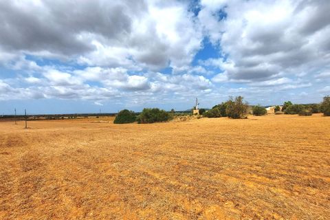 Terra a Campos, Mallorca, Campos - € 682.000 | Ref: CR0007 - foto 10